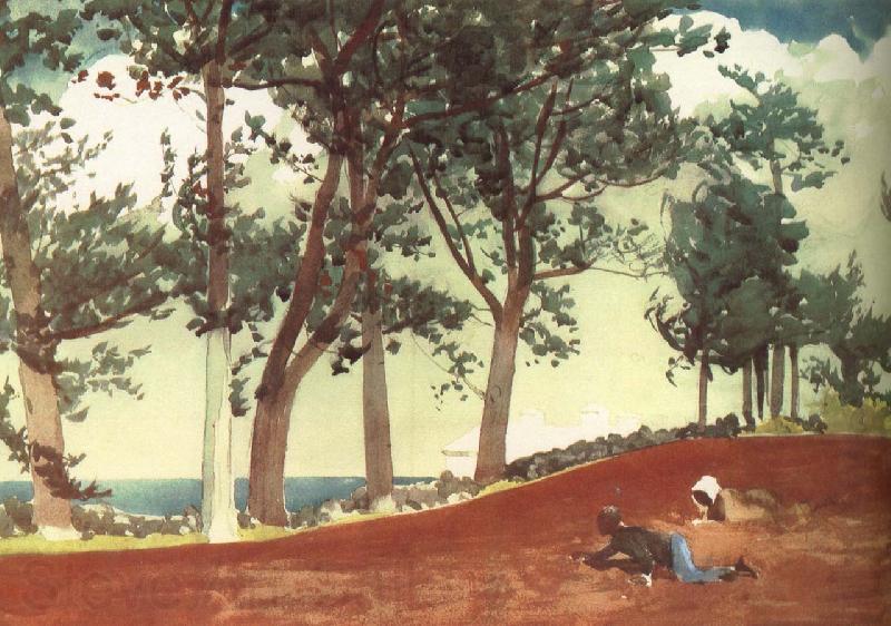 Winslow Homer Houses and trees